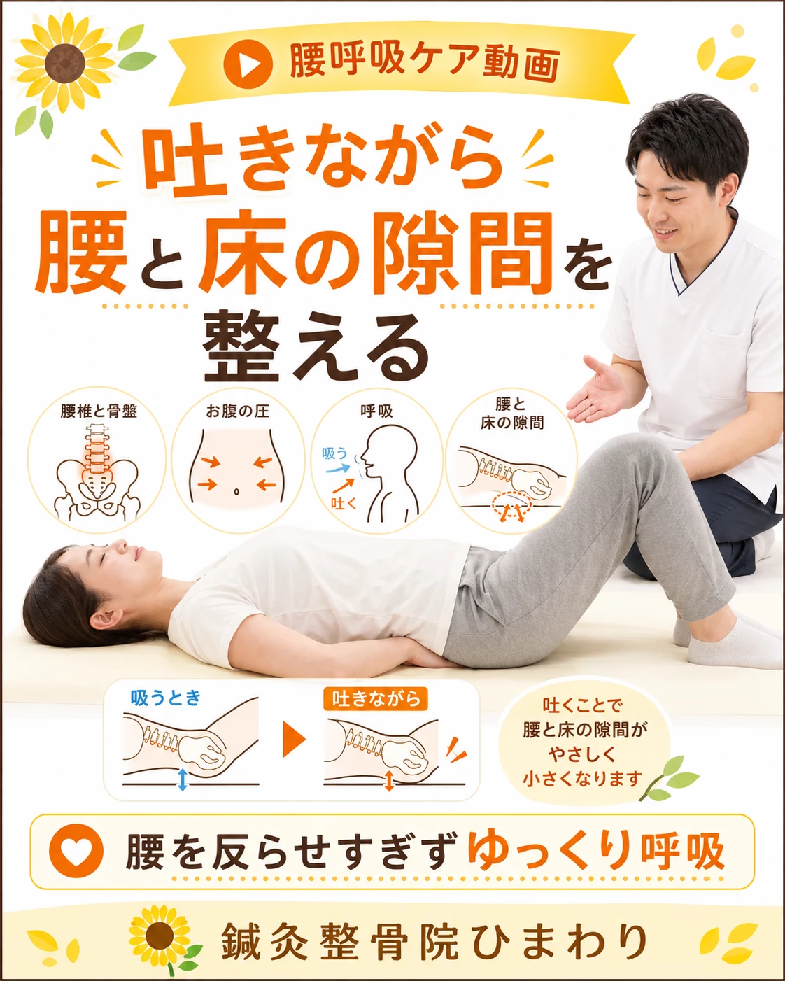 横須賀市で腰の反りや腰椎の動きが気になる方へ呼吸エクササイズを案内する鍼灸整骨院ひまわりのヒーロー画像