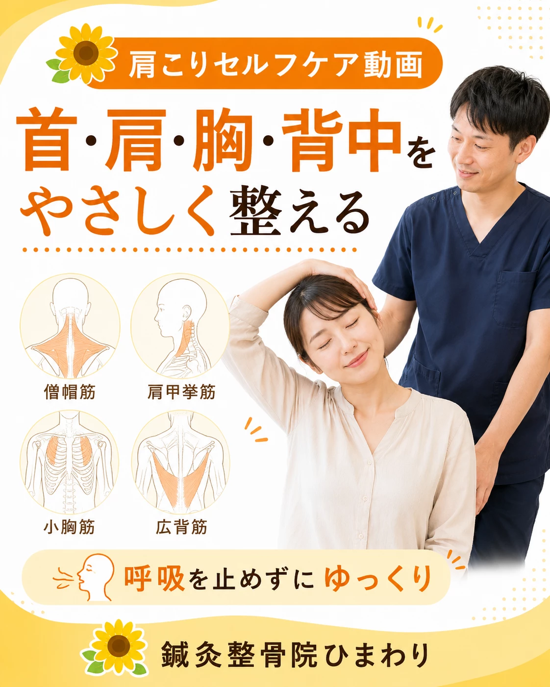 横須賀市で肩こりや巻き肩に悩む方へ首肩ストレッチを案内する鍼灸整骨院ひまわりのヒーロー画像