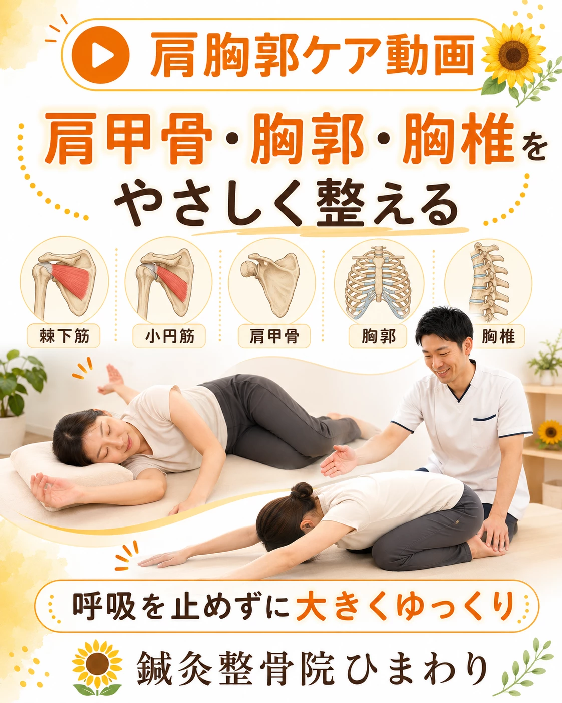 横須賀市で肩回りの可動域や胸郭の硬さが気になる方へストレッチを案内する鍼灸整骨院ひまわりのヒーロー画像