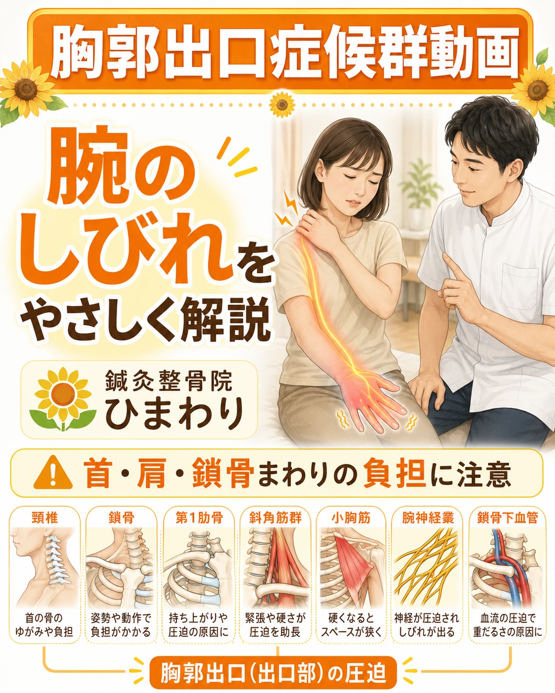 横須賀市で腕のしびれと胸郭出口症候群を確認する解説 胸郭出口症候群で腕のしびれに関係する頚椎、鎖骨、第1肋骨、斜角筋群、小胸筋、腕神経叢、鎖骨下血管を示した解説画像