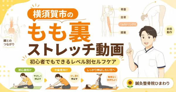 横須賀市でもも裏の硬さに悩む方へレベル別ハムストリングスストレッチ動画を紹介する鍼灸整骨院ひまわりのアイキャッチ画像
