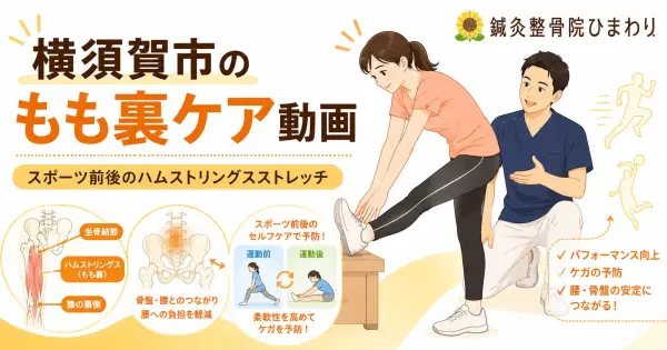 横須賀市でスポーツ前後のもも裏ケアをしたい方へハムストリングスストレッチ動画を紹介する鍼灸整骨院ひまわりのアイキャッチ画像