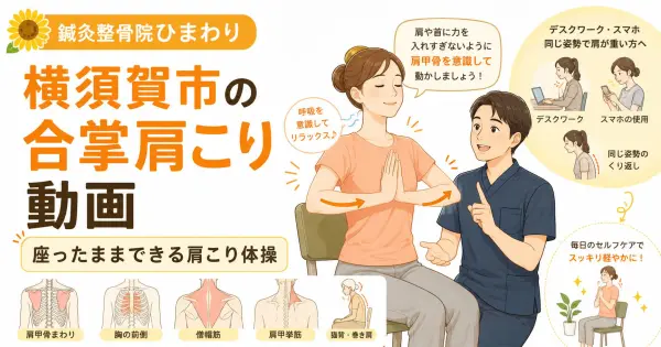 横須賀市で肩こりや肩甲骨まわりの硬さが気になる方へ座ったままできる合掌ポーズ体操動画を紹介する鍼灸整骨院ひまわりのアイキャッチ画像