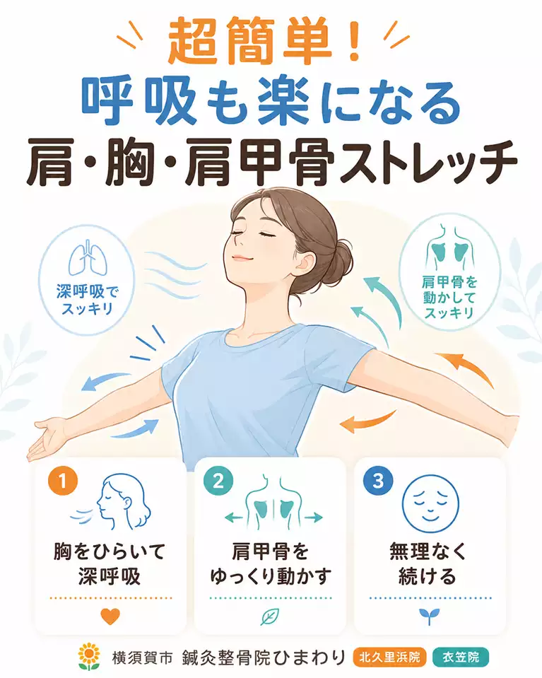 横須賀市で肩・胸・肩甲骨ストレッチを行いたい方へ解説する画像 横須賀市で肩や胸、肩甲骨まわりが気になる方へ、深呼吸しながら無理なく動かすストレッチを解説する画像
