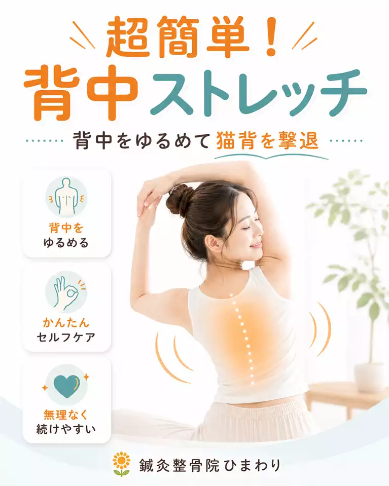 横須賀市で背中のこわばりや猫背が気になる方へ、脊柱起立筋や広背筋を意識して無理なく行う背中ストレッチを解説する画像