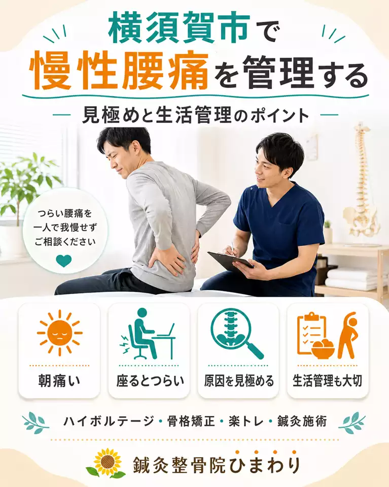 横須賀市で慢性腰痛を管理するための朝の痛み、座るとつらい症状、原因の見極め、生活管理、ハイボルテージ、骨格矯正、楽トレ、鍼灸施術を解説する画像