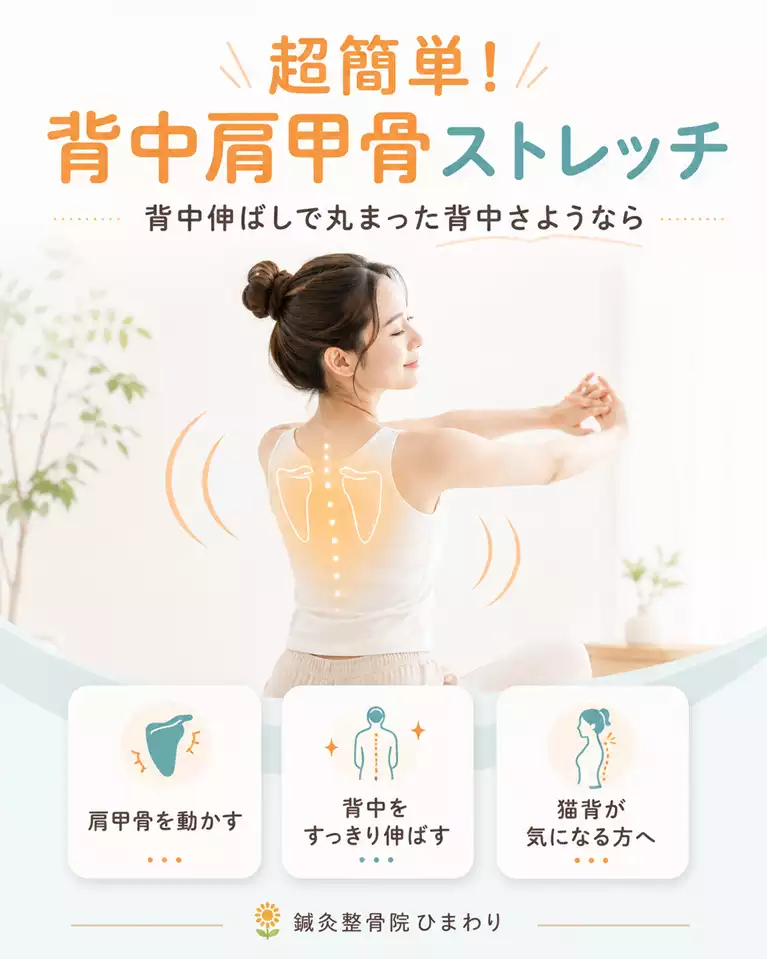横須賀市で背中や肩甲骨のこわばり、猫背が気になる方へ、肩甲骨を動かして背中を無理なく伸ばすストレッチを解説する画像