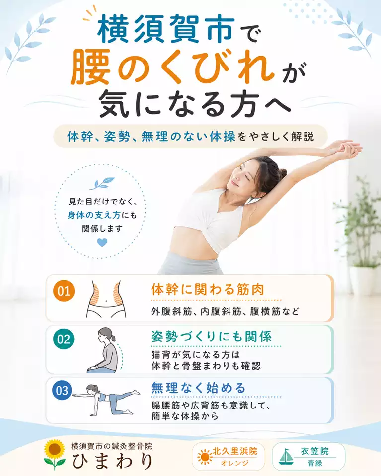 横須賀市で腰のくびれが気になる方へ、体幹に関わる筋肉、姿勢づくり、無理のない体操を解説する画像