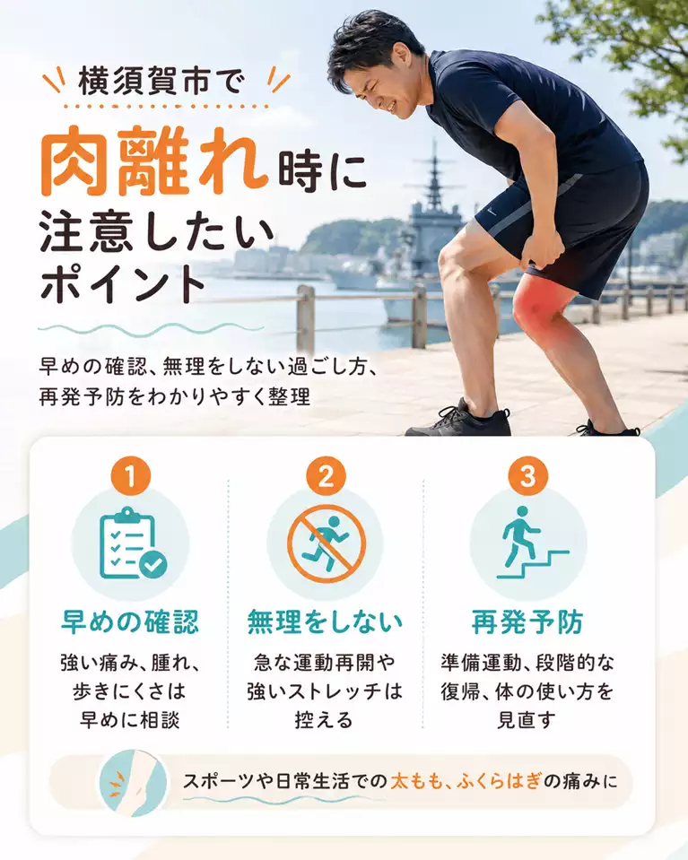 横須賀市で肉離れ時に注意したいポイント 横須賀市で肉離れ時に注意したい方へ、早めの確認、無理をしない過ごし方、段階的な復帰、太ももやふくらはぎの痛みへの対応を解説する画像