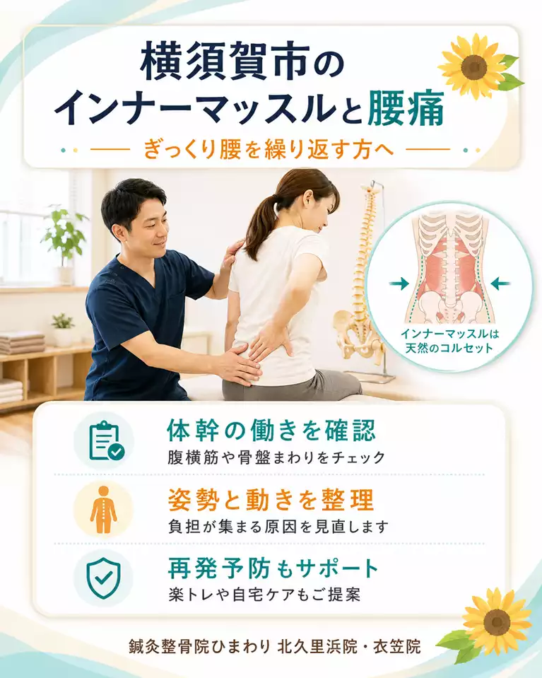 横須賀市でインナーマッスルと腰痛、ぎっくり腰の再発予防、体幹の働きと姿勢の確認を解説する画像