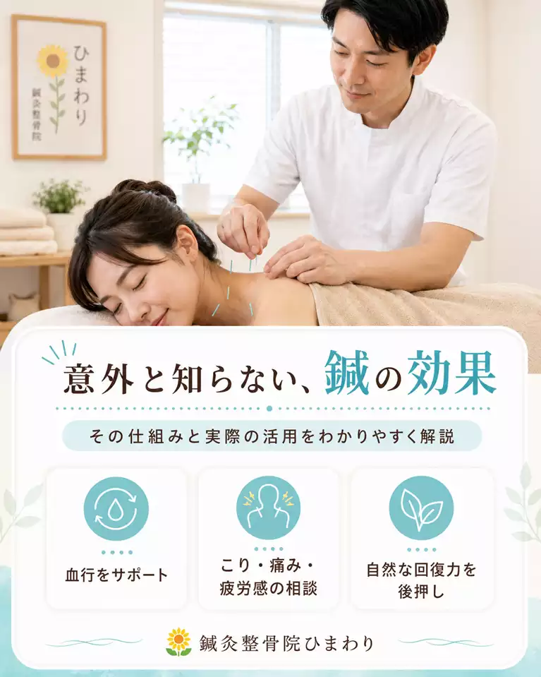 横須賀市で鍼の効果や仕組み、血行サポート、こりや痛み、疲労感の相談、自然な回復力を後押しする鍼灸施術を解説する画像