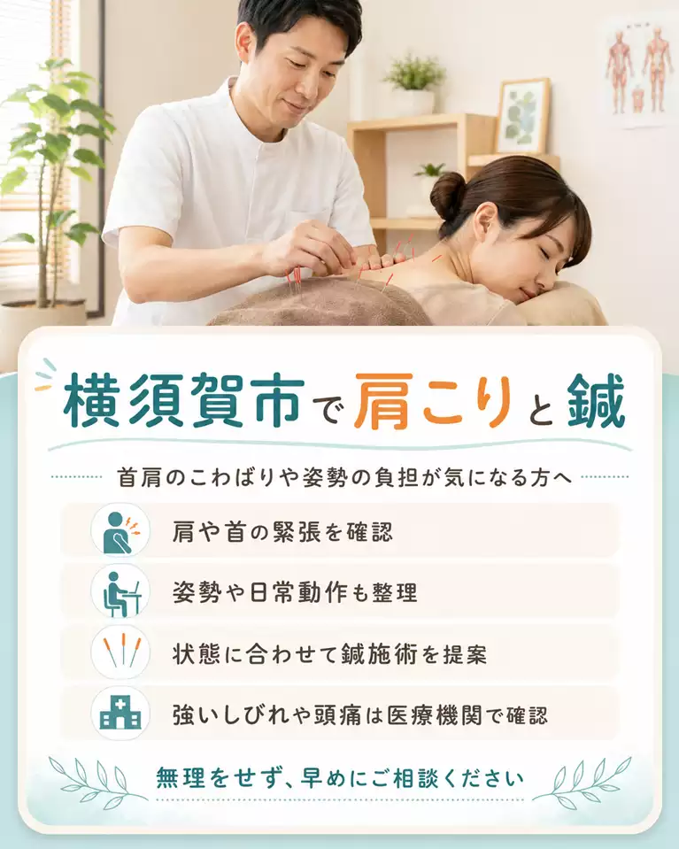 横須賀市で肩こりと鍼 横須賀市で肩こりと鍼について案内し、肩や首の緊張、姿勢や日常動作の確認、状態に合わせた鍼施術、強いしびれや頭痛は医療機関で確認することを分かりやすく示す画像
