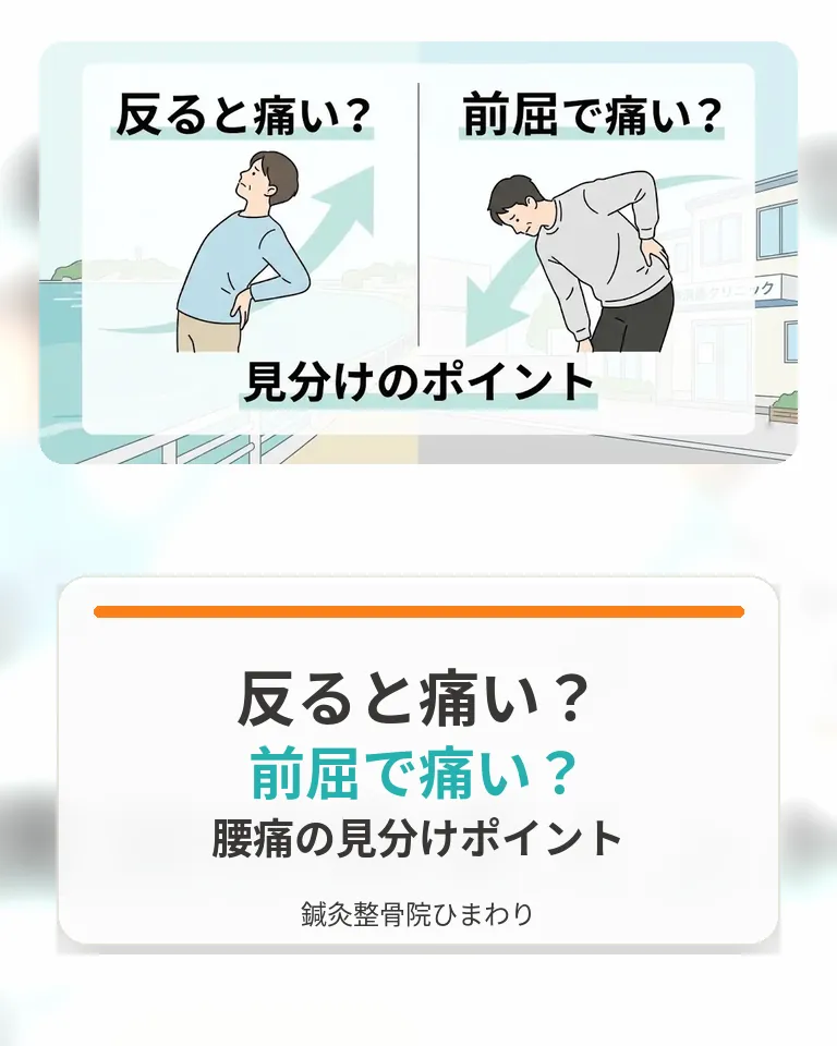 横須賀市で腰痛の反る痛みと前屈で痛い時の見分けポイントを確認する画像