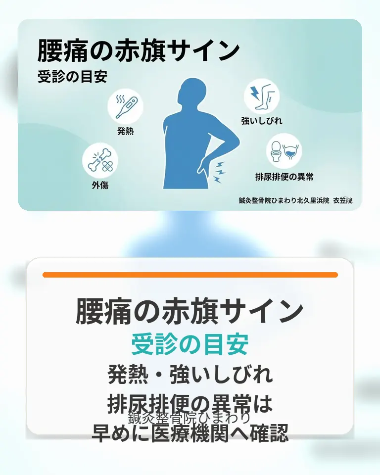 横須賀市で腰痛の赤旗サインと受診の目安を確認する画像