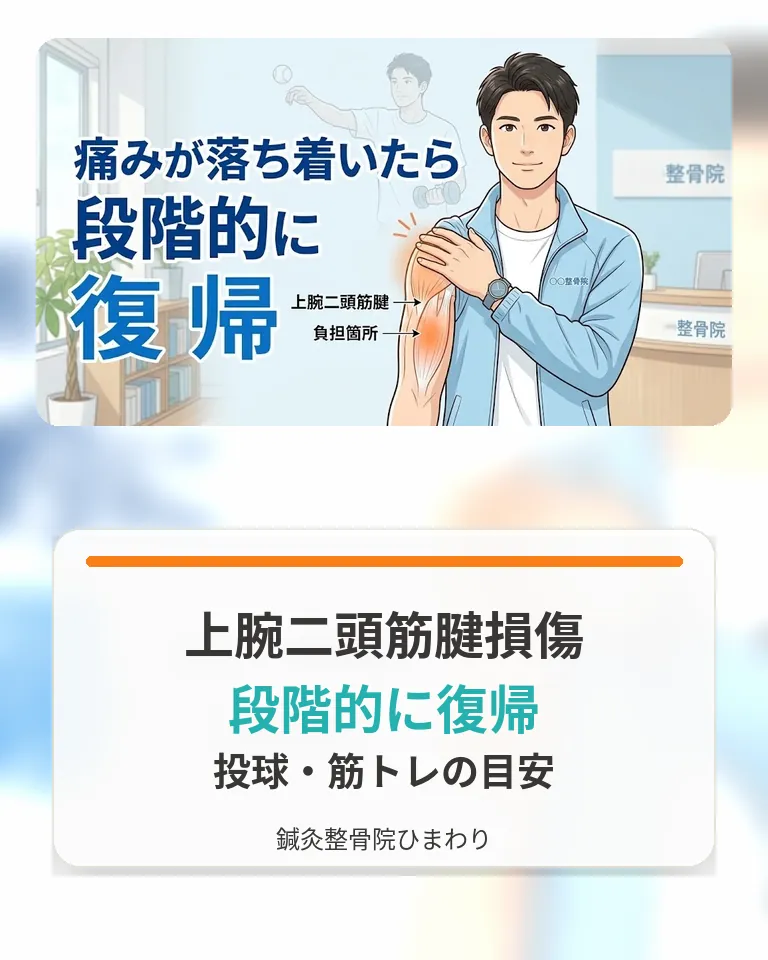 上腕二頭筋腱損傷後の段階的な復帰目安|横須賀市 鍼灸整骨院ひまわり 横須賀市で上腕二頭筋腱損傷後の投球と筋トレ復帰目安を確認する画像