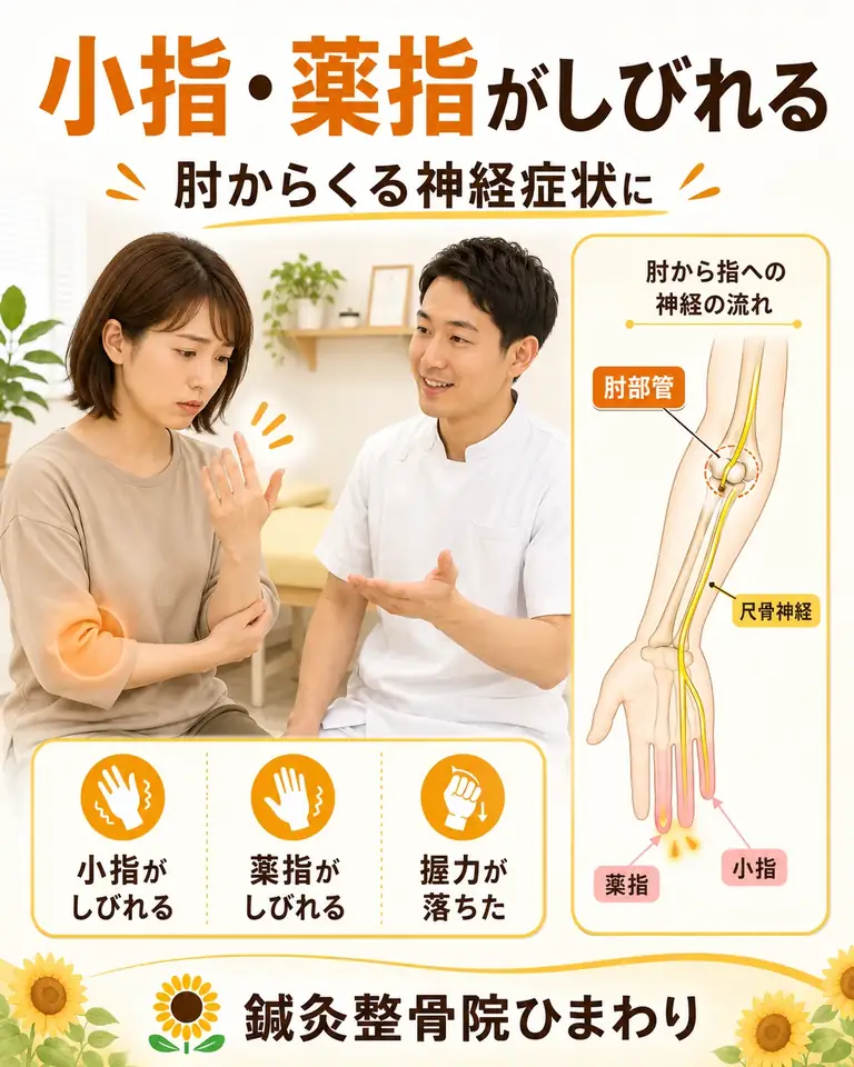 横須賀市の鍼灸整骨院ひまわりで肘部管症候群による小指や薬指のしびれを相談する方へ向けた画像