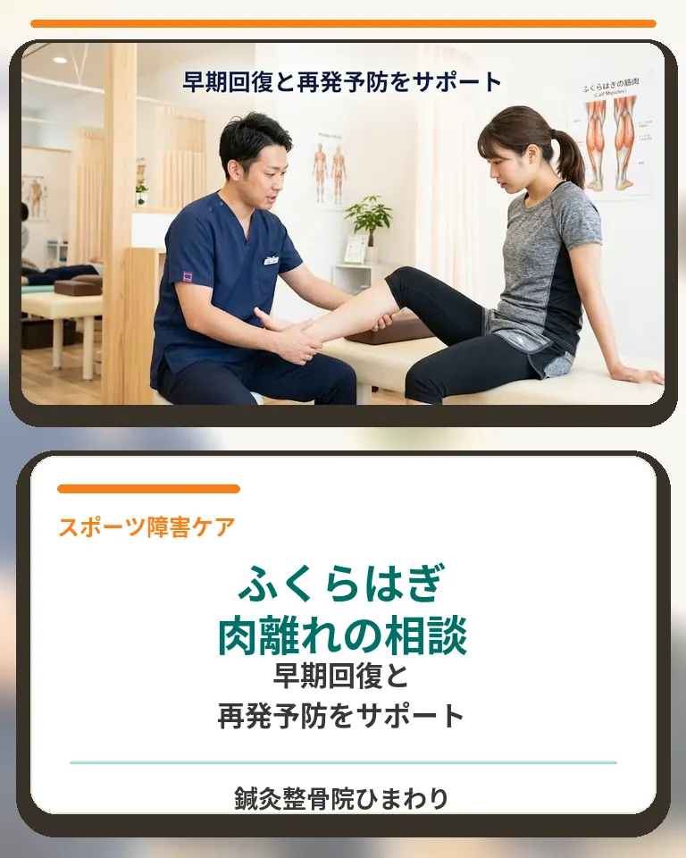横須賀市でふくらはぎ肉離れの早期回復と再発予防をサポートする鍼灸整骨院ひまわりの案内画像