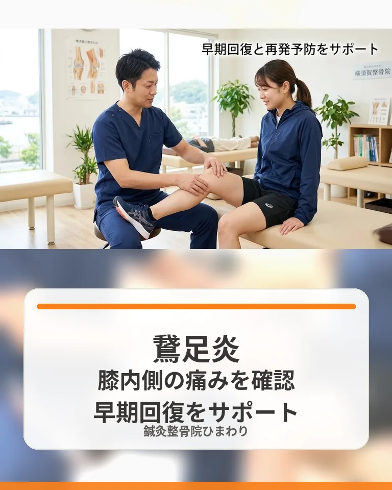横須賀市で鵞足炎による膝内側の痛みを相談する 横須賀市で鵞足炎による膝内側の痛みを相談する鍼灸整骨院ひまわりの様子