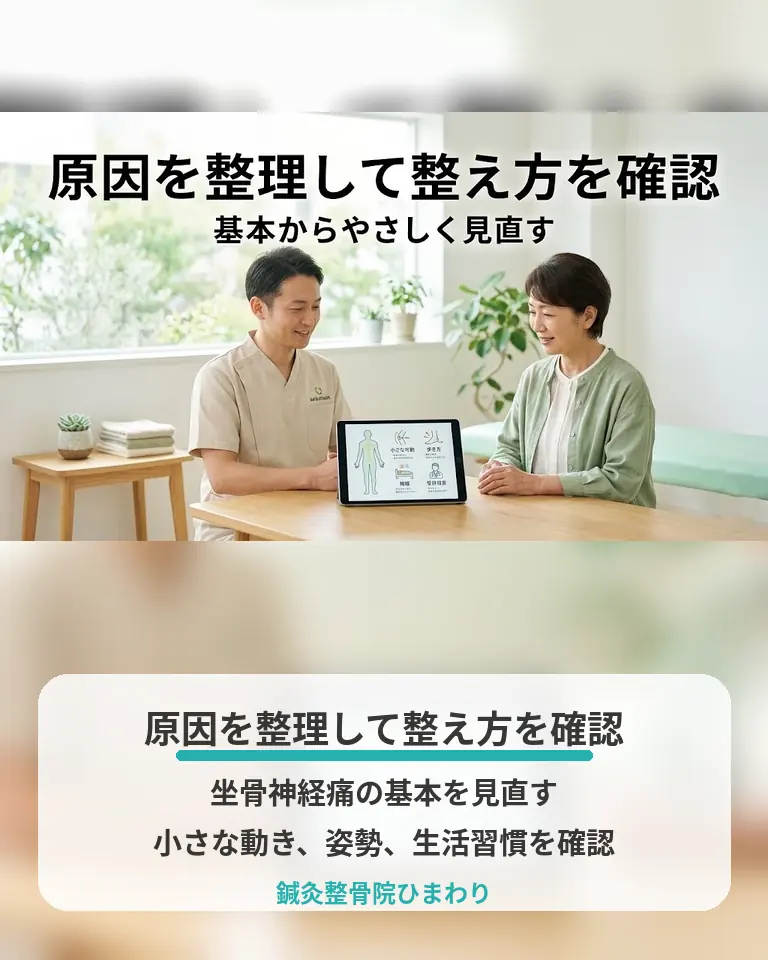 坐骨神経痛の原因整理と整え方を確認する 横須賀市の鍼灸整骨院ひまわりが坐骨神経痛の原因を整理して整え方を説明する画像