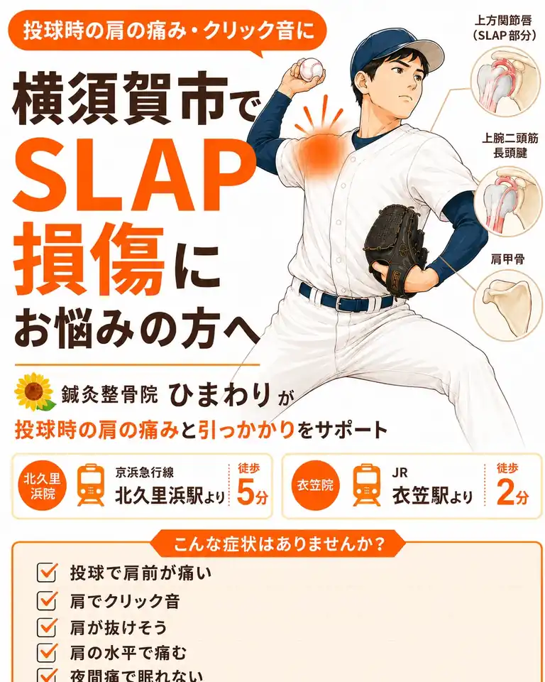 横須賀市でSLAP損傷、投球時の肩の痛み、クリック音を相談 横須賀市でSLAP損傷による投球時の肩の痛みやクリック音にお悩みの方へ